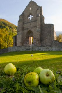 Aulps, abbatiale, façade, pommes, automne