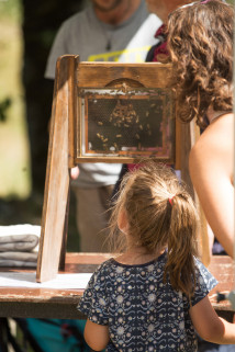 Fête du miel et de l'abeille