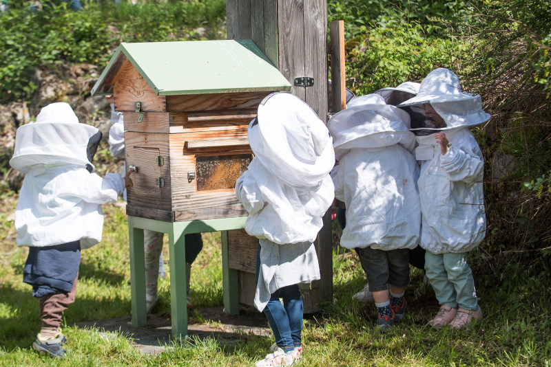 Atelier abeilles à l'Abbaye d'Aulps