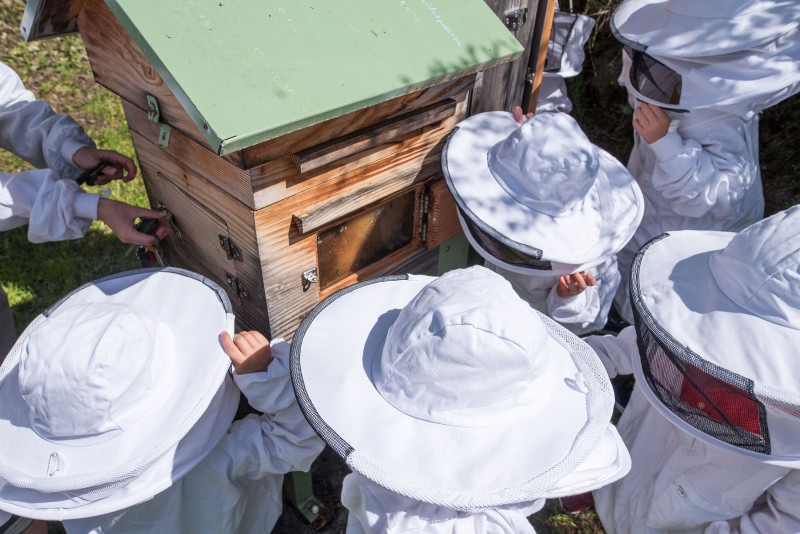 Atelier abeilles à l'abbaye d'Aulps Atelier abeilles à l'abbaye d'Aulps